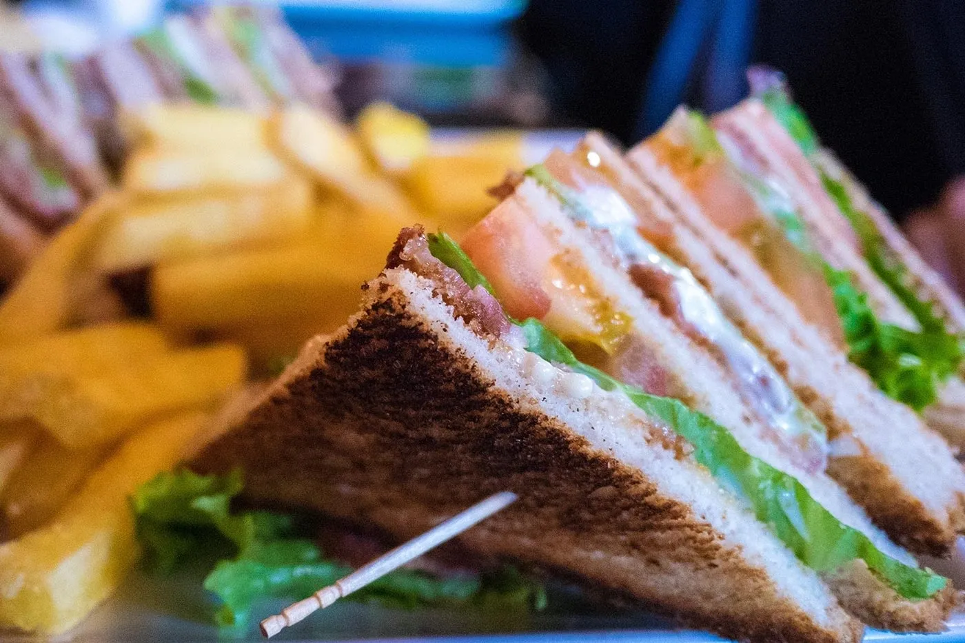 A plate with a sandwich and fries on it.